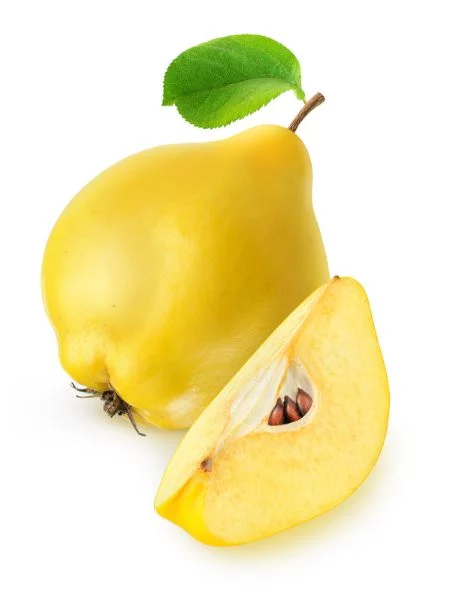 Gutui